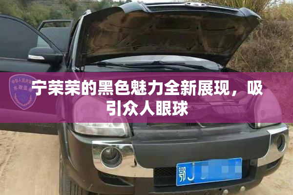 宁荣荣的黑色魅力全新展现，吸引众人眼球