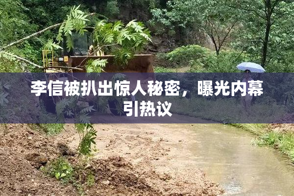 李信被扒出惊人秘密，曝光内幕引热议
