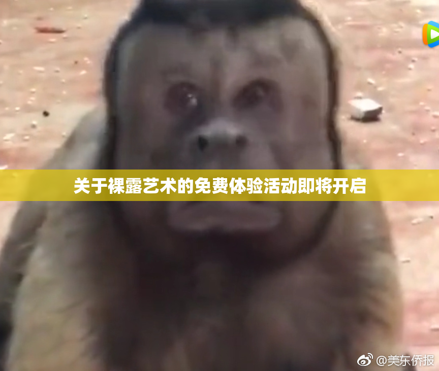 关于裸露艺术的免费体验活动即将开启