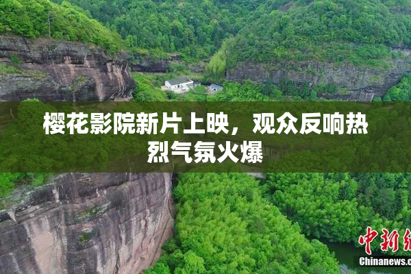 樱花影院新片上映，观众反响热烈气氛火爆