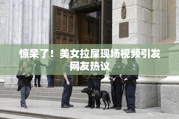 惊呆了！美女拉屎现场视频引发网友热议