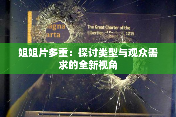 姐姐片多重：探讨类型与观众需求的全新视角