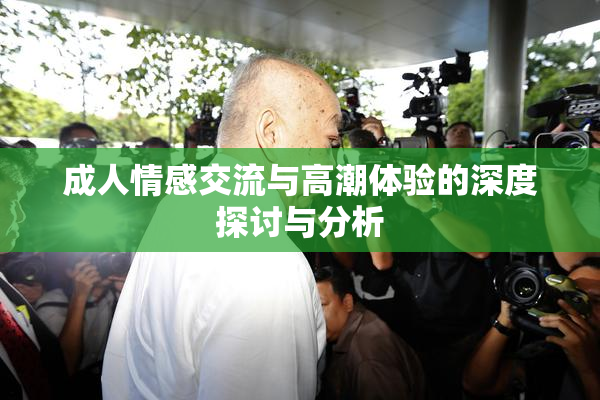成人情感交流与高潮体验的深度探讨与分析