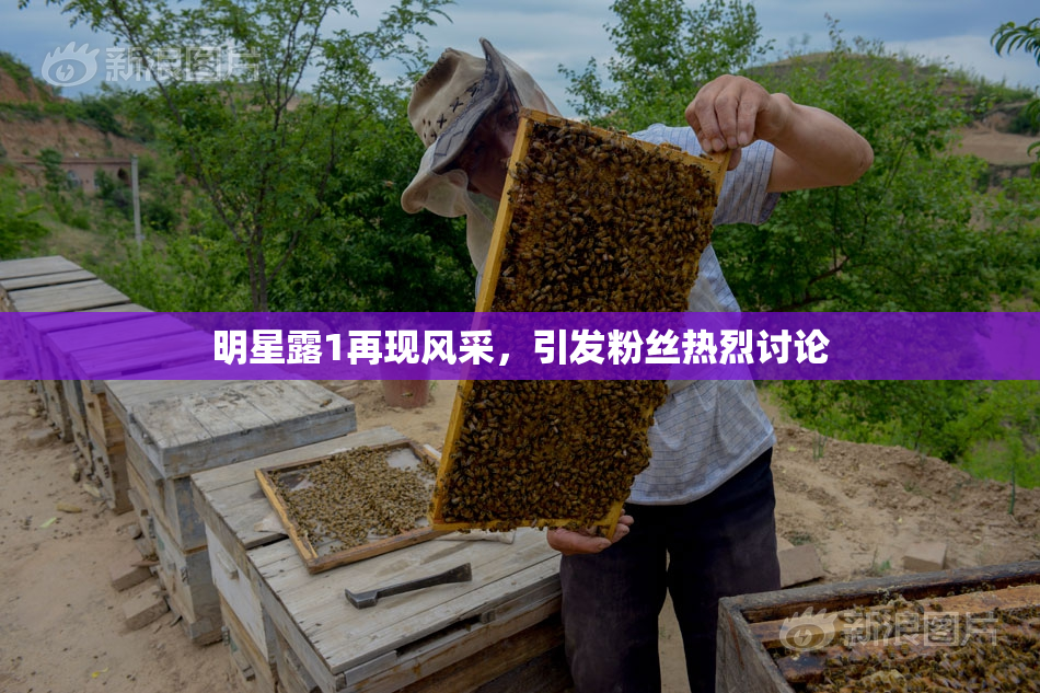 明星露1再现风采，引发粉丝热烈讨论