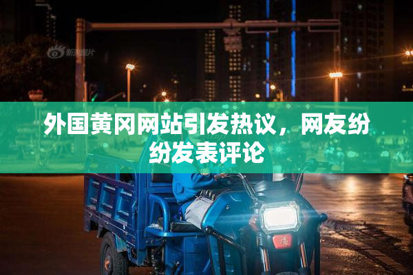 外国黄冈网站引发热议，网友纷纷发表评论