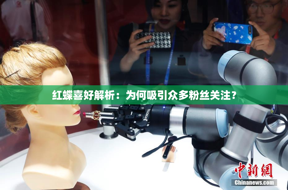 红蝶喜好解析：为何吸引众多粉丝关注？