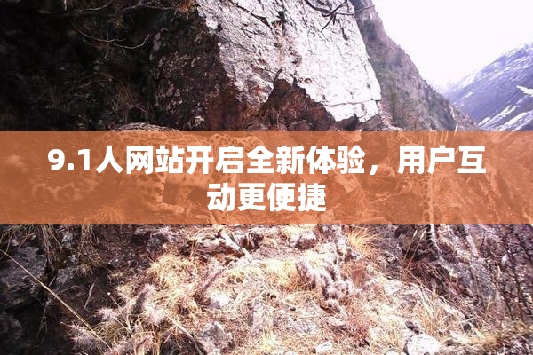 9.1人网站开启全新体验，用户互动更便捷