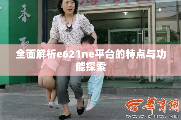 全面解析e621ne平台的特点与功能探索