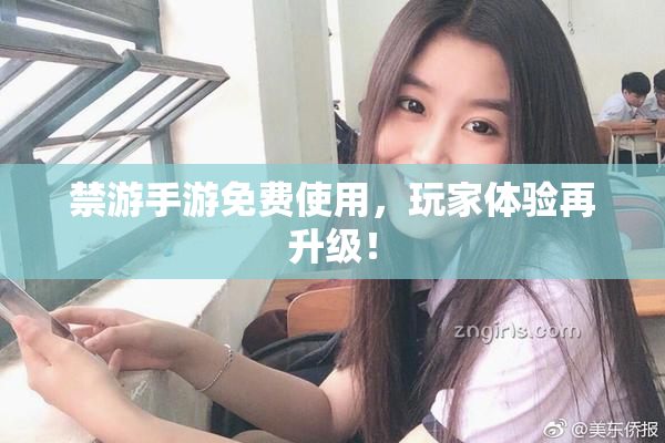 禁游手游免费使用，玩家体验再升级！