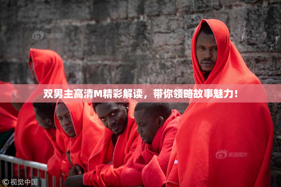双男主高清M精彩解读，带你领略故事魅力！