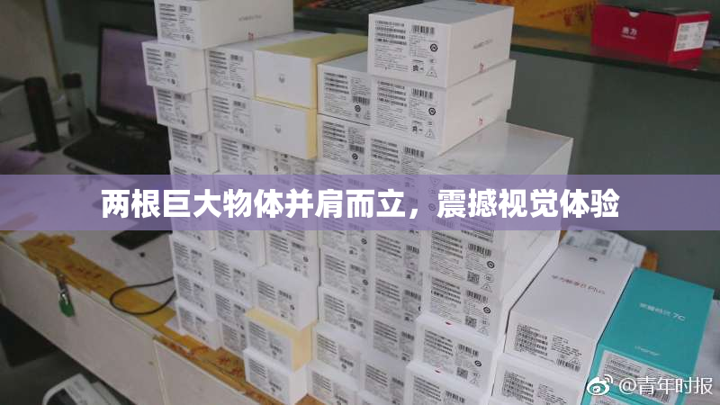 两根巨大物体并肩而立，震撼视觉体验