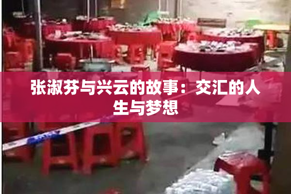张淑芬与兴云的故事：交汇的人生与梦想