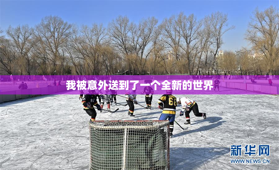 我被意外送到了一个全新的世界