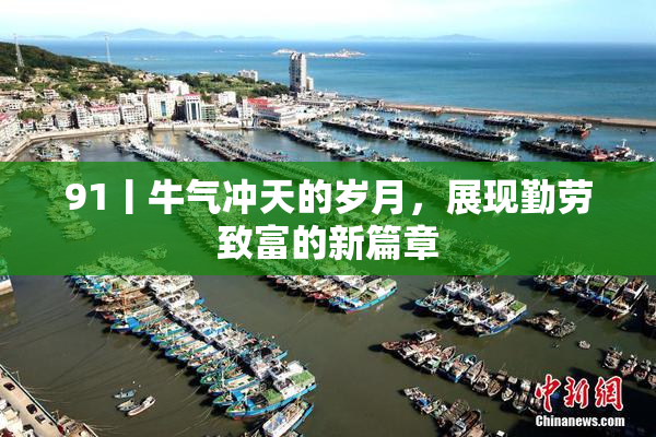 91丨牛气冲天的岁月，展现勤劳致富的新篇章