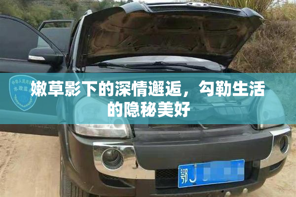 嫩草影下的深情邂逅，勾勒生活的隐秘美好