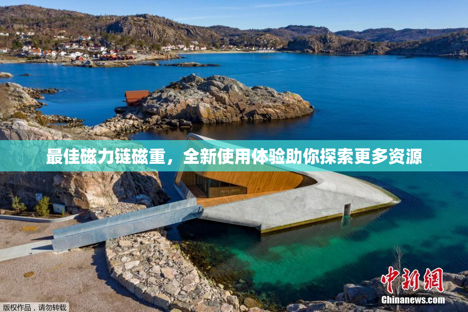 最佳磁力链磁重，全新使用体验助你探索更多资源