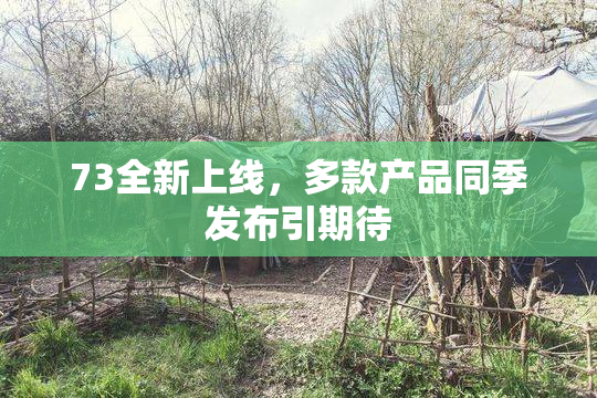 73全新上线，多款产品同季发布引期待