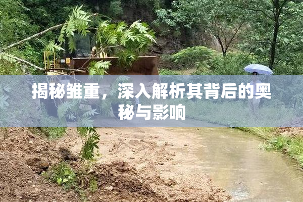 揭秘雏重，深入解析其背后的奥秘与影响