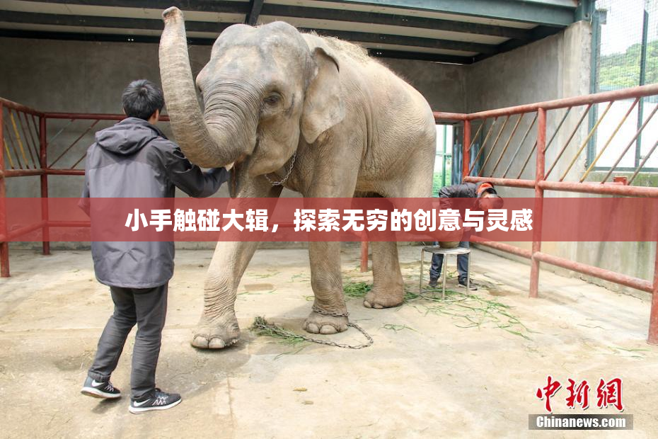 小手触碰大辑，探索无穷的创意与灵感
