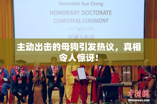 主动出击的母狗引发热议，真相令人惊讶！