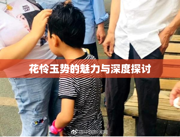 花怜玉势的魅力与深度探讨