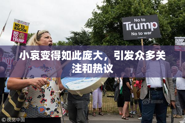 小哀变得如此庞大，引发众多关注和热议