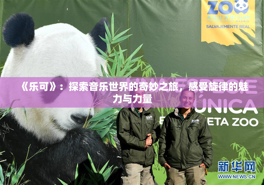 《乐可》：探索音乐世界的奇妙之旅，感受旋律的魅力与力量