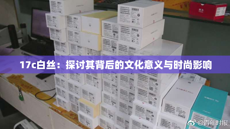 17c白丝：探讨其背后的文化意义与时尚影响