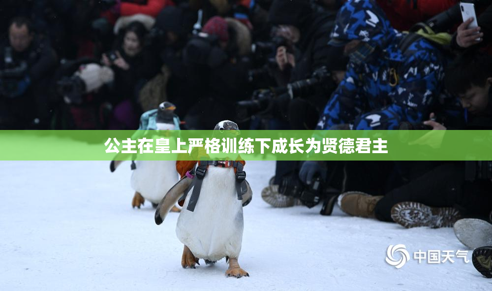 公主在皇上严格训练下成长为贤德君主