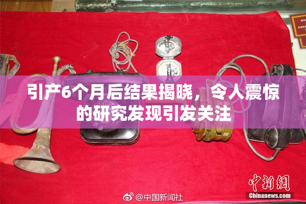 引产6个月后结果揭晓，令人震惊的研究发现引发关注