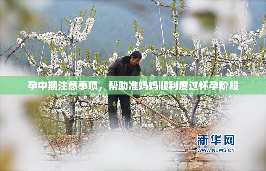 孕中期注意事项，帮助准妈妈顺利度过怀孕阶段
