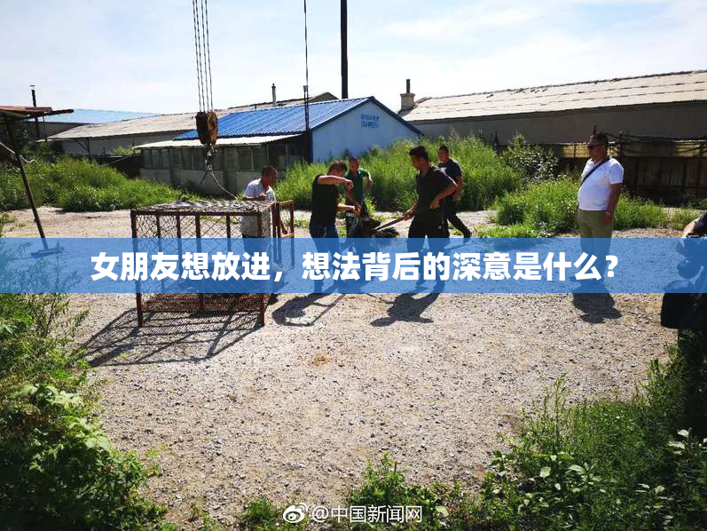 女朋友想放进，想法背后的深意是什么？