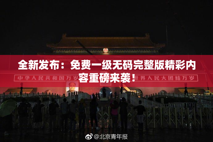 全新发布：免费一级无码完整版精彩内容重磅来袭！