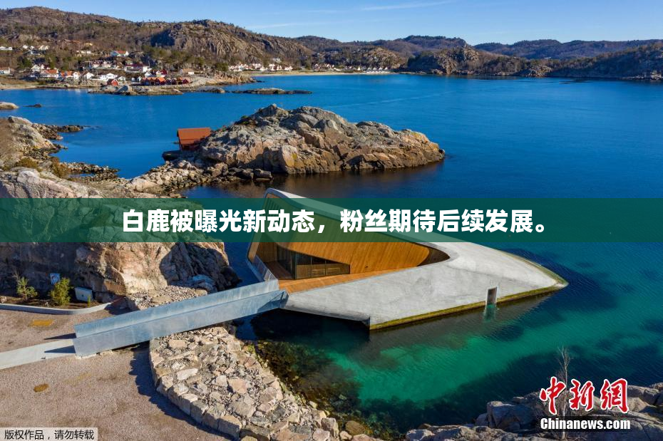 白鹿被曝光新动态，粉丝期待后续发展。