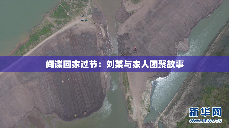间谍回家过节：刘某与家人团聚故事