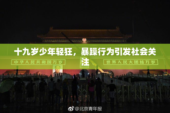 十九岁少年轻狂，暴躁行为引发社会关注