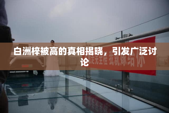 白洲梓被高的真相揭晓，引发广泛讨论