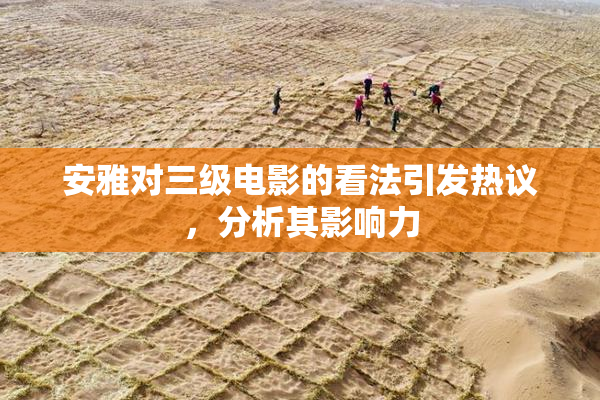 安雅对三级电影的看法引发热议，分析其影响力