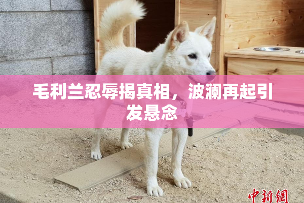 毛利兰忍辱揭真相，波澜再起引发悬念