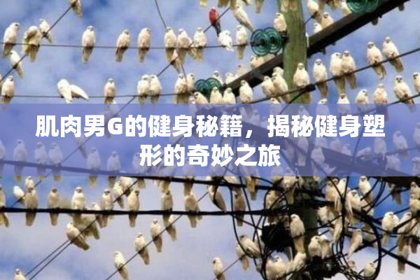 肌肉男G的健身秘籍，揭秘健身塑形的奇妙之旅