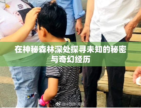 在神秘森林深处探寻未知的秘密与奇幻经历