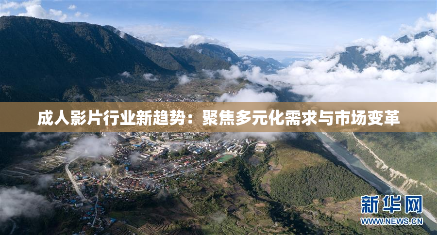 成人影片行业新趋势：聚焦多元化需求与市场变革