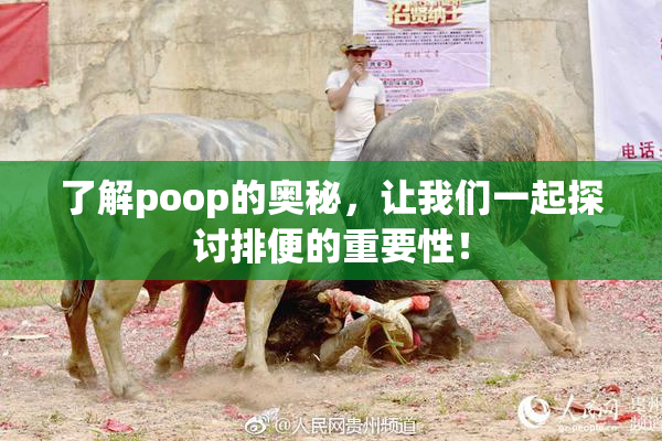 了解poop的奥秘，让我们一起探讨排便的重要性！