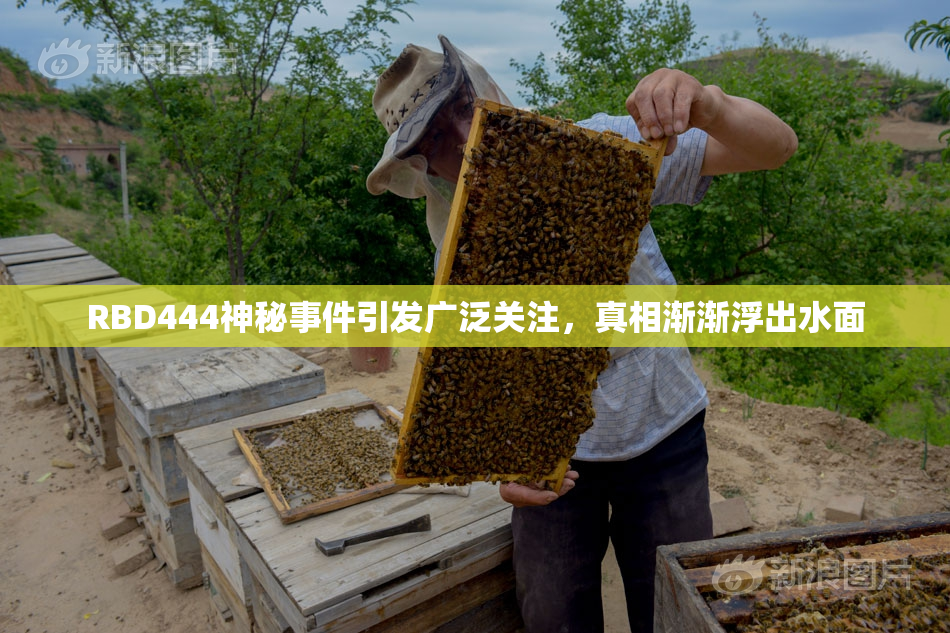 RBD444神秘事件引发广泛关注，真相渐渐浮出水面