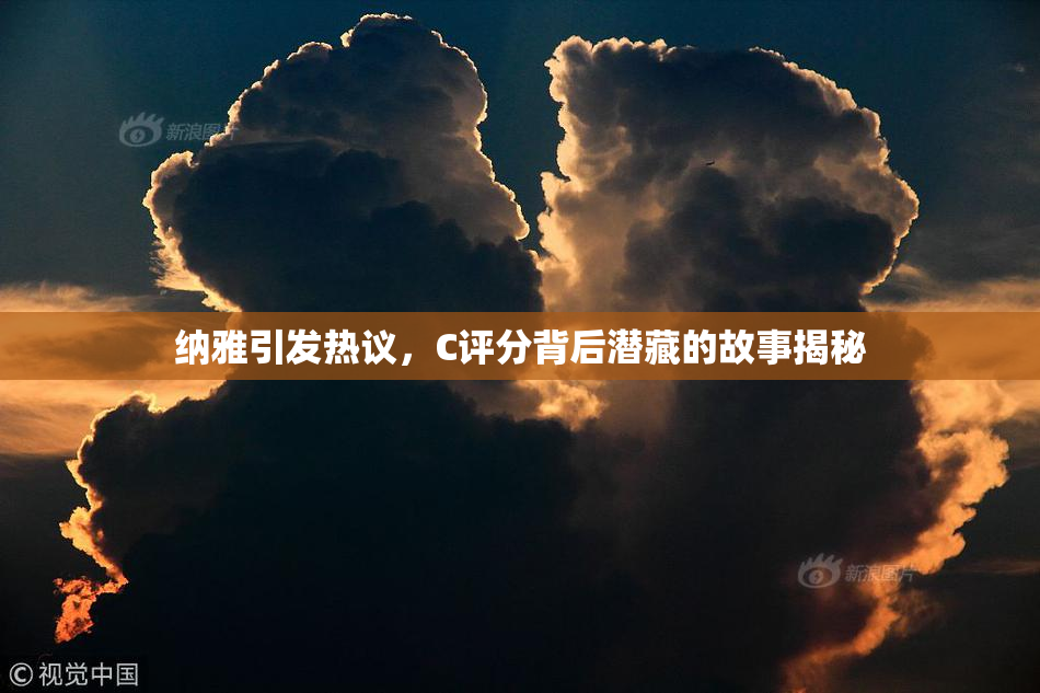 纳雅引发热议，C评分背后潜藏的故事揭秘