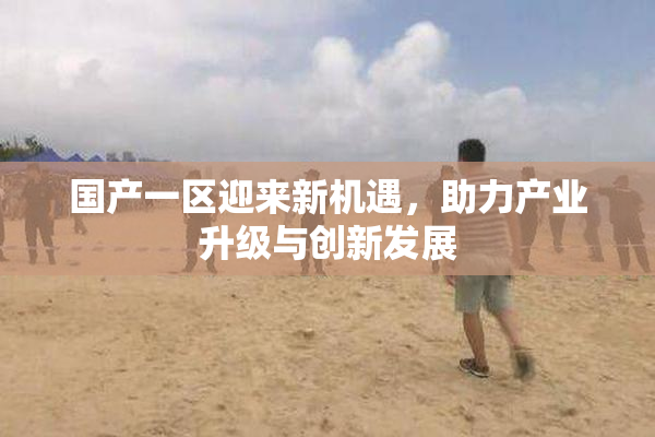 国产一区迎来新机遇，助力产业升级与创新发展