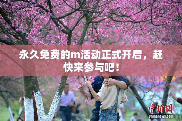 永久免费的m活动正式开启，赶快来参与吧！