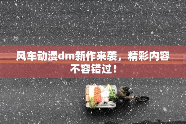 风车动漫dm新作来袭，精彩内容不容错过！