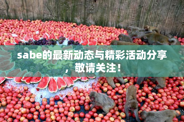 sabe的最新动态与精彩活动分享，敬请关注！