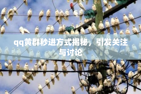 qq黄群秒进方式揭秘，引发关注与讨论